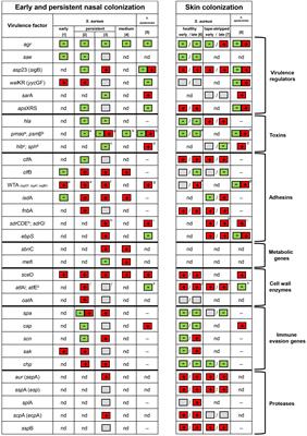 Transcriptional adaptation of staphylococci during colonization of the authentic human environment: An overview of transcriptomic changes and their relationship to physiological conditions